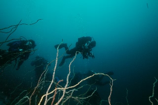 「無題」のサムネイル画像