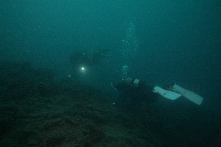 「無題」のサムネイル画像