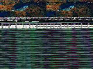 「イロブダイ(Buffalofish)」のサムネイル画像