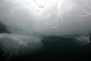 「無題」のサムネイル画像