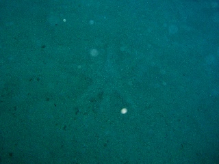 「謎の模様」のサムネイル画像