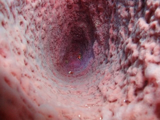 「水中洞窟(嘘」のサムネイル画像