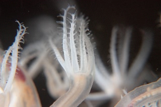 「無題」のサムネイル画像