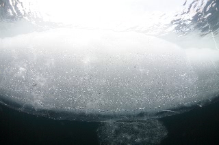 「無題」のサムネイル画像