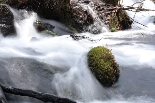 「無題」のサムネイル画像
