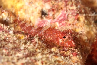 「無題」のサムネイル画像