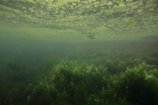 「無題」のサムネイル画像
