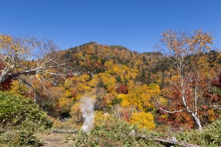 「無題」のサムネイル画像
