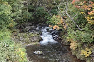 「無題」のサムネイル画像
