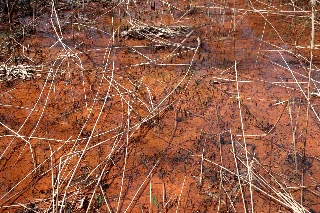 「無題」のサムネイル画像