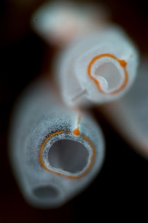 「無題」のサムネイル画像