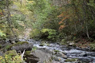 「無題」のサムネイル画像