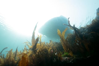 「無題」のサムネイル画像