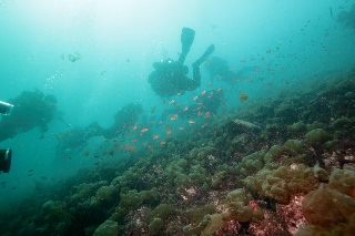「無題」のサムネイル画像