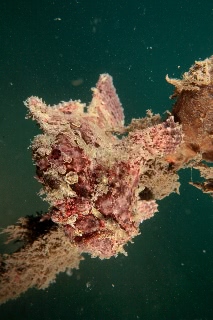 「無題」のサムネイル画像