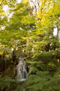 「無題」のサムネイル画像
