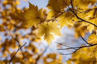 「無題」のサムネイル画像