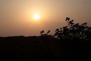 「無題」のサムネイル画像