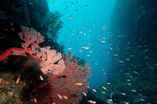 「無題」のサムネイル画像