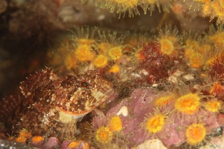 「無題」のサムネイル画像