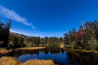 「無題」のサムネイル画像