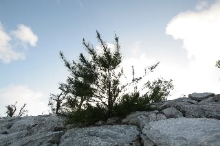 「無題」のサムネイル画像