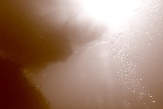 「無題」のサムネイル画像