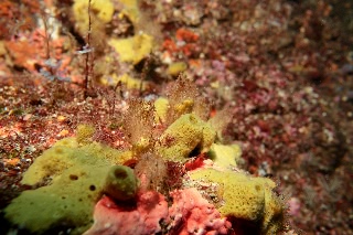 「無題」のサムネイル画像