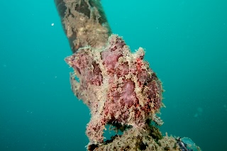 「無題」のサムネイル画像