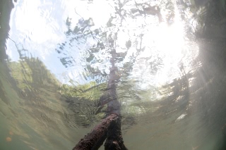「無題」のサムネイル画像