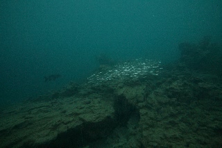 「無題」のサムネイル画像