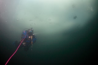 「無題」のサムネイル画像