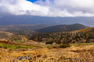 「無題」のサムネイル画像