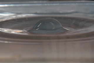 「着水」のサムネイル画像