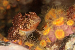 「無題」のサムネイル画像