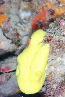 「無題」のサムネイル画像