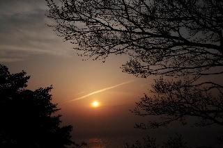 「無題」のサムネイル画像