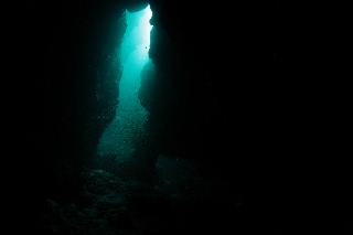 「無題」のサムネイル画像