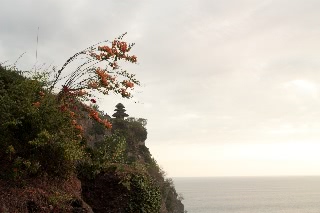 「無題」のサムネイル画像
