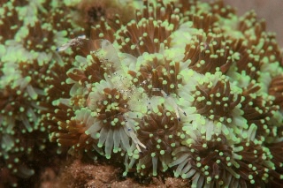 「無題」のサムネイル画像