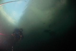 「無題」のサムネイル画像