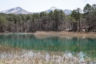 「青沼」のサムネイル画像