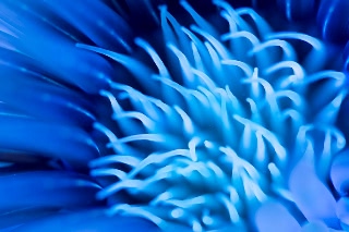 「無題」のサムネイル画像