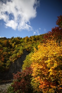 「無題」のサムネイル画像