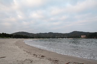 「無題」のサムネイル画像