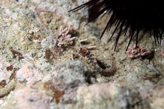 「無題」のサムネイル画像