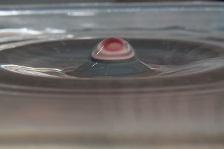 「無題」のサムネイル画像