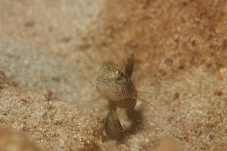 「無題」のサムネイル画像