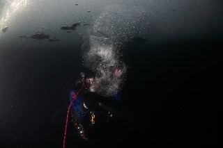 「無題」のサムネイル画像