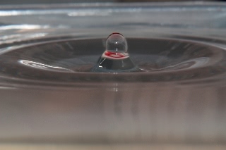 「無題」のサムネイル画像